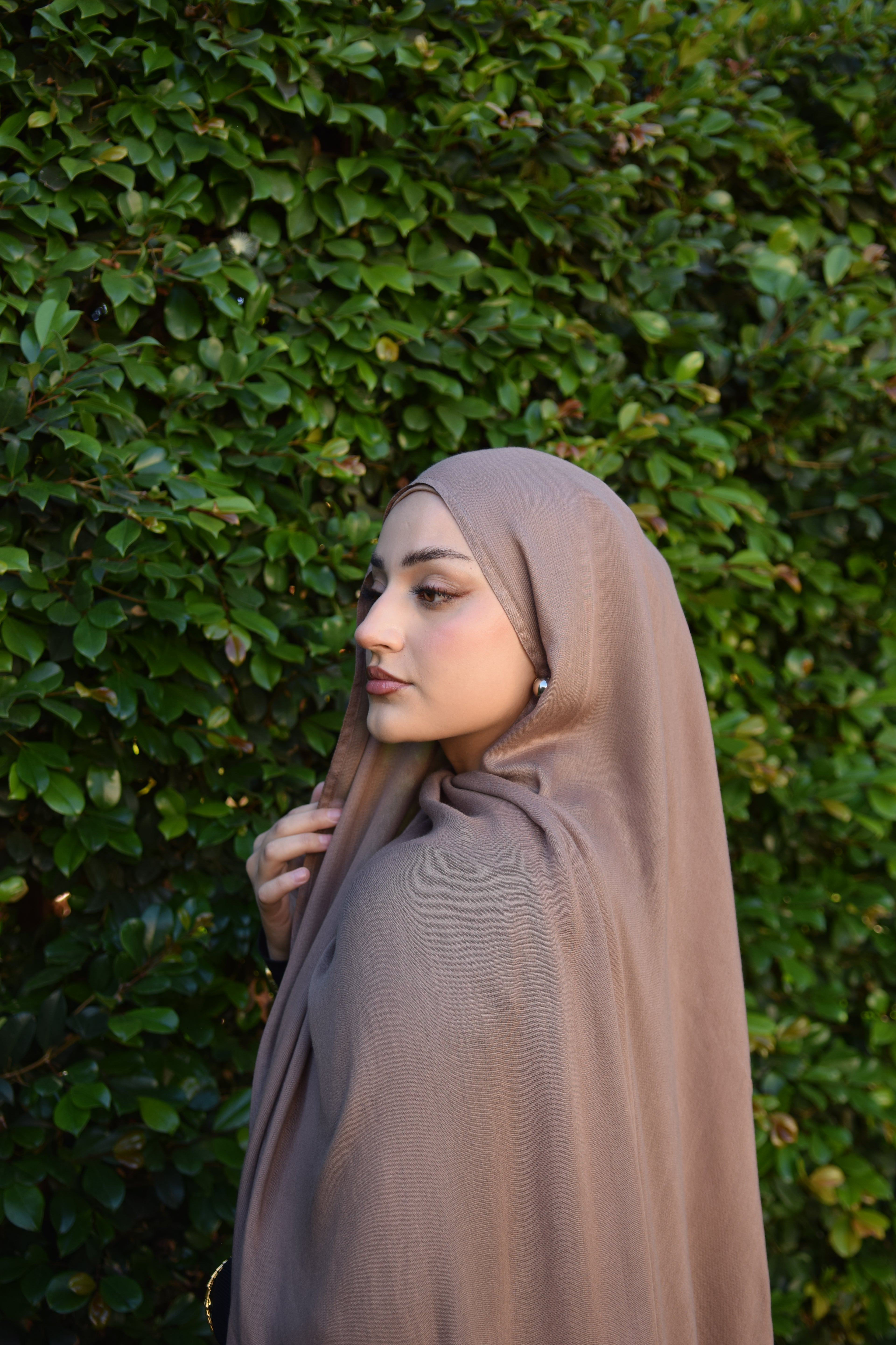 MOCHA Premium Modal SET