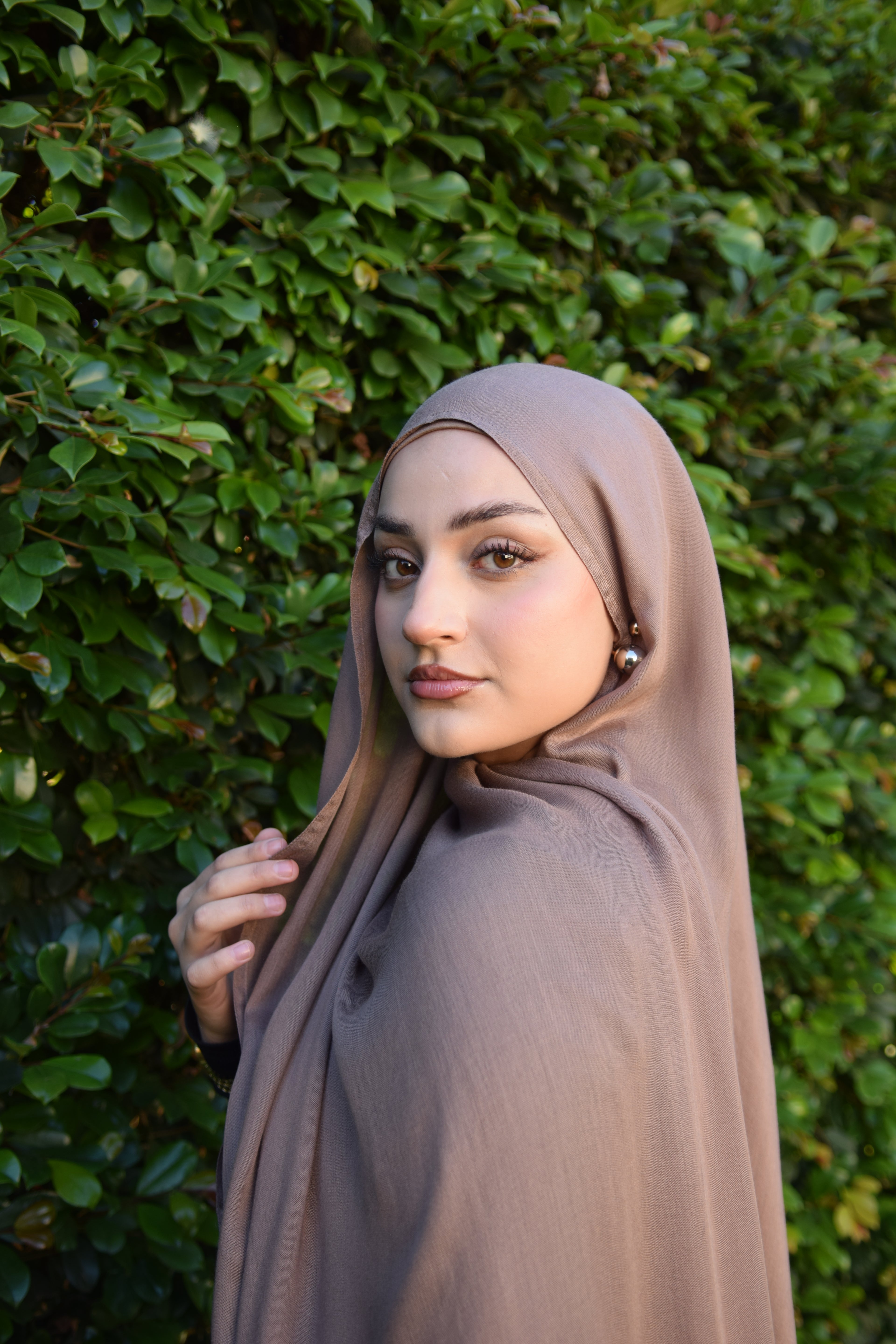 MOCHA Premium Modal SET
